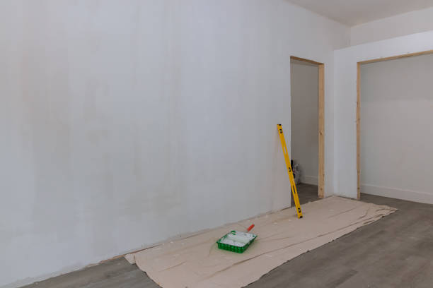 Best Drywall Removal and Disposal  in Salmon, ID